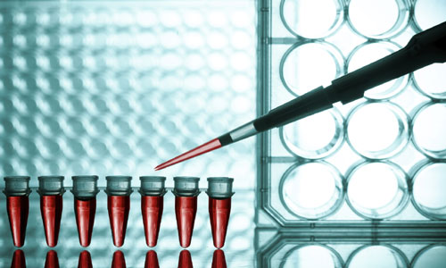 Molecular Diagnostics